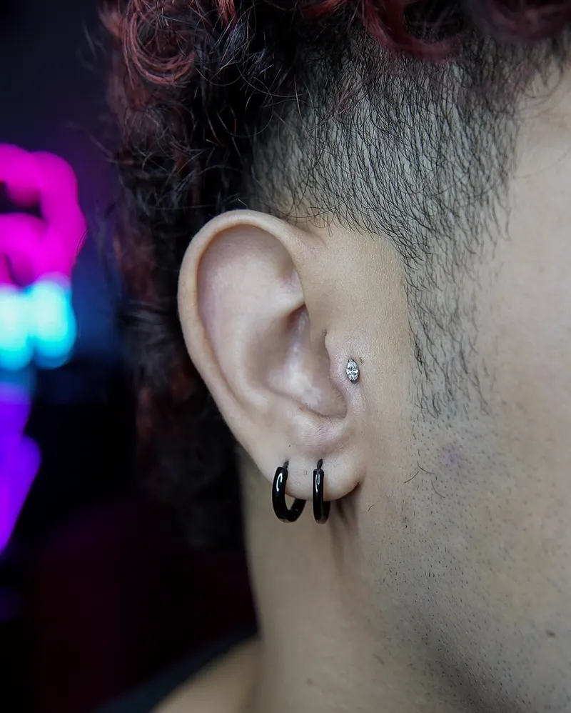 Tragus and lobe hoops — piercing by Foenix Ink, Hollywood FL, implant-grade titanium (1/2)