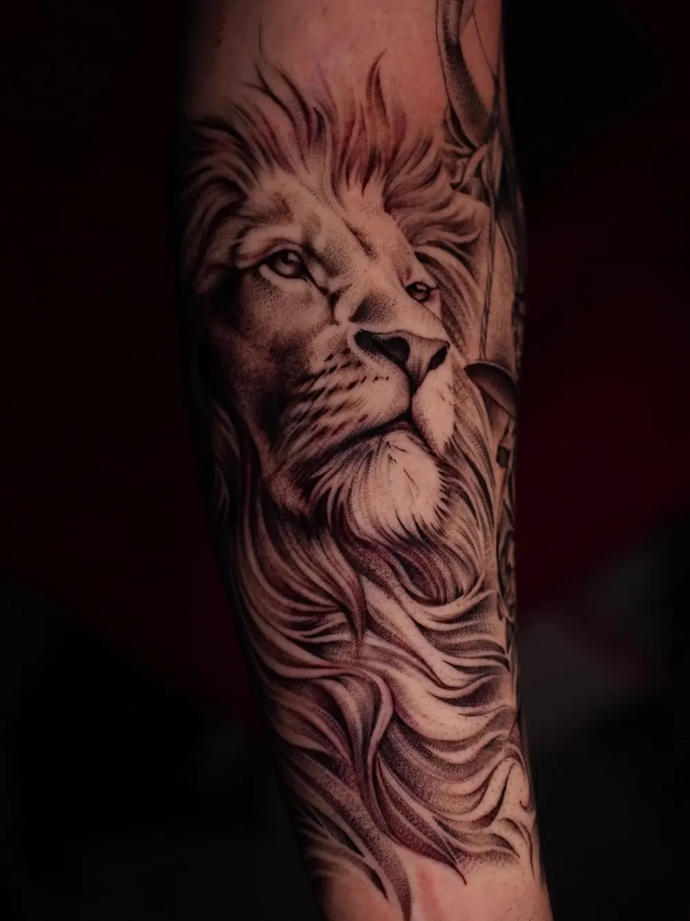 Lion portrait — black & grey realism tattoo on the forearm, by Foenix Ink, Hollywood FL (1/2)