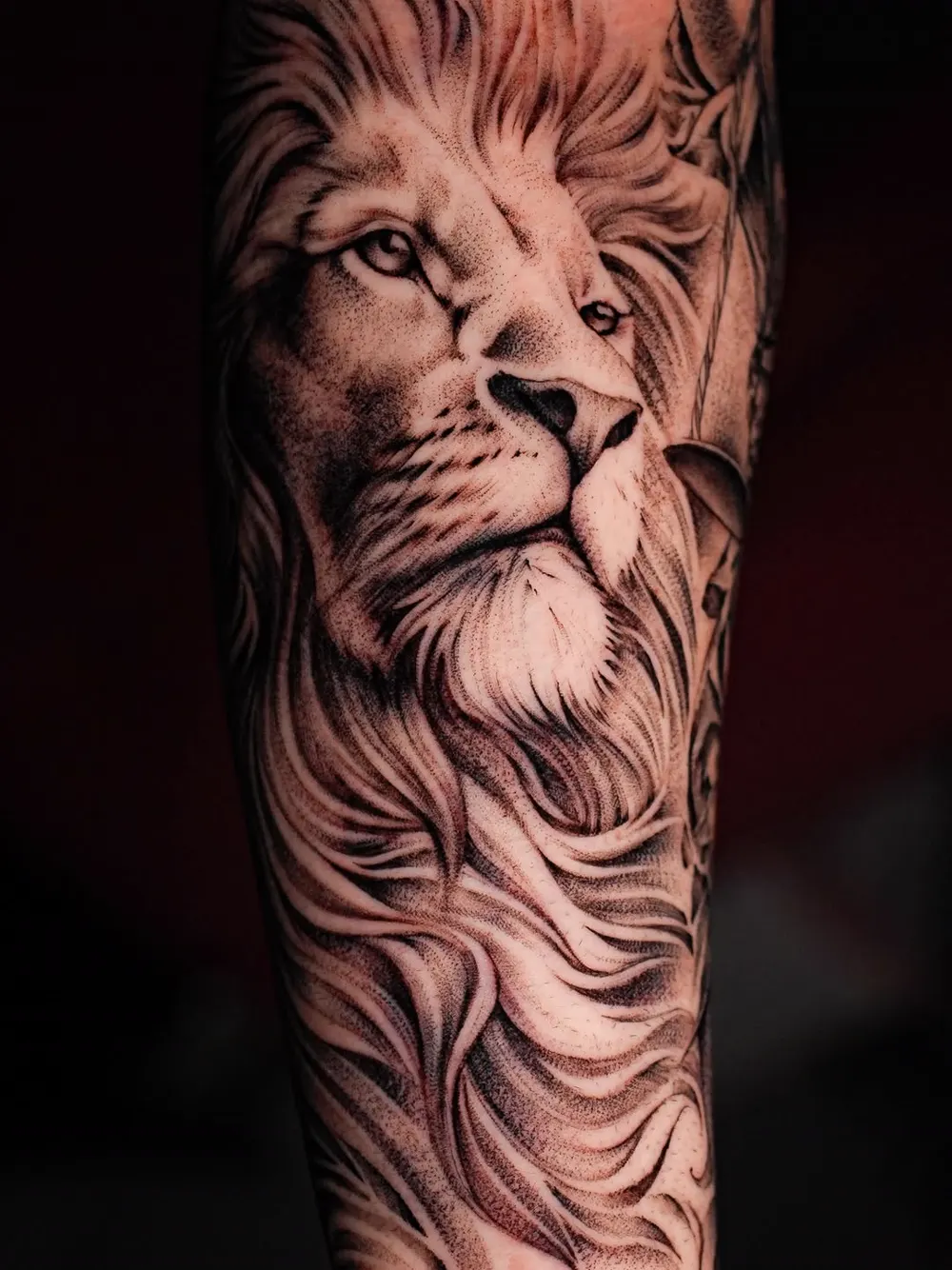 Lion portrait — black & grey realism tattoo on the forearm, by Foenix Ink, Hollywood FL (2/2)